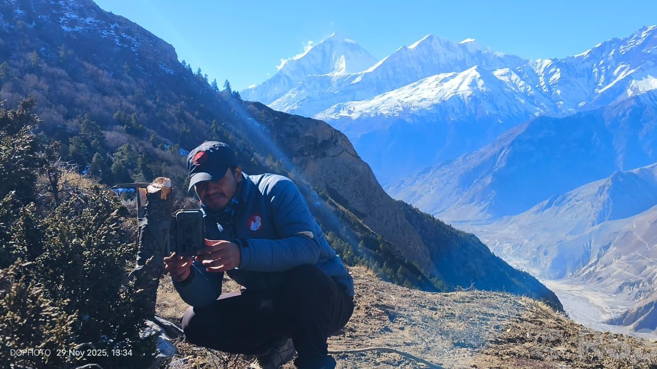   मुस्ताङका उच्चलेकमा हिउँ चितुवा अध्ययन गर्न ‘क्यामेरा ट्यापिङ’ गरिँदै
