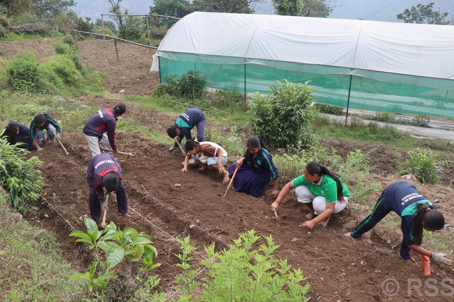 प्रयोगात्मक सीप विकासका लागि तरकारीखेती विस्तार