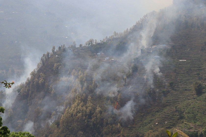 डढेलो नियन्त्रणमा नआउँदा बस्ती जोखिममा