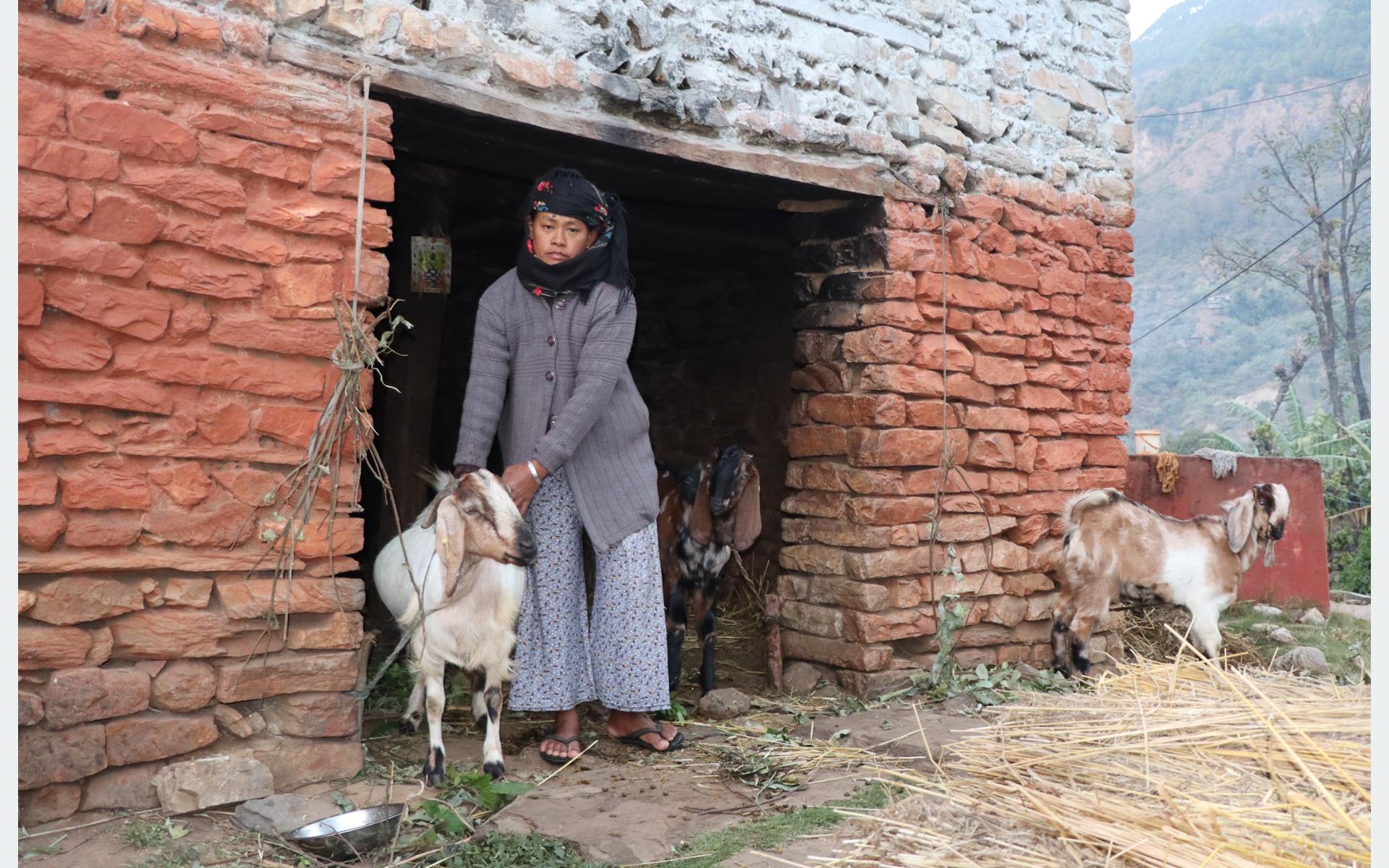 आर्थिक सामाजिक जोखिम व्यवस्थापन सूचना प्रणाली प्रभावकारी