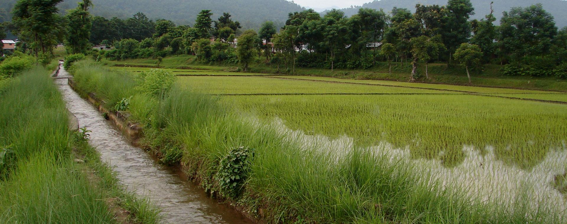 सिँचाइमा वार्षिक अर्बौँको लगानी