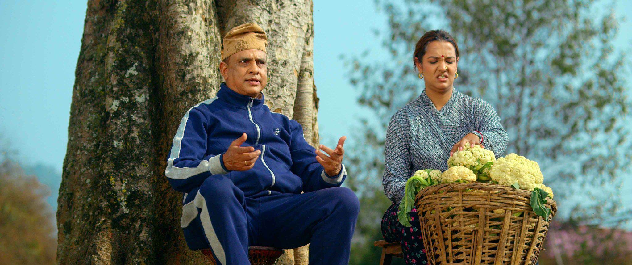   चेलीबेटी बेचबिखनको सन्देशसहित हरिवंशले ल्याए ‘काउली’