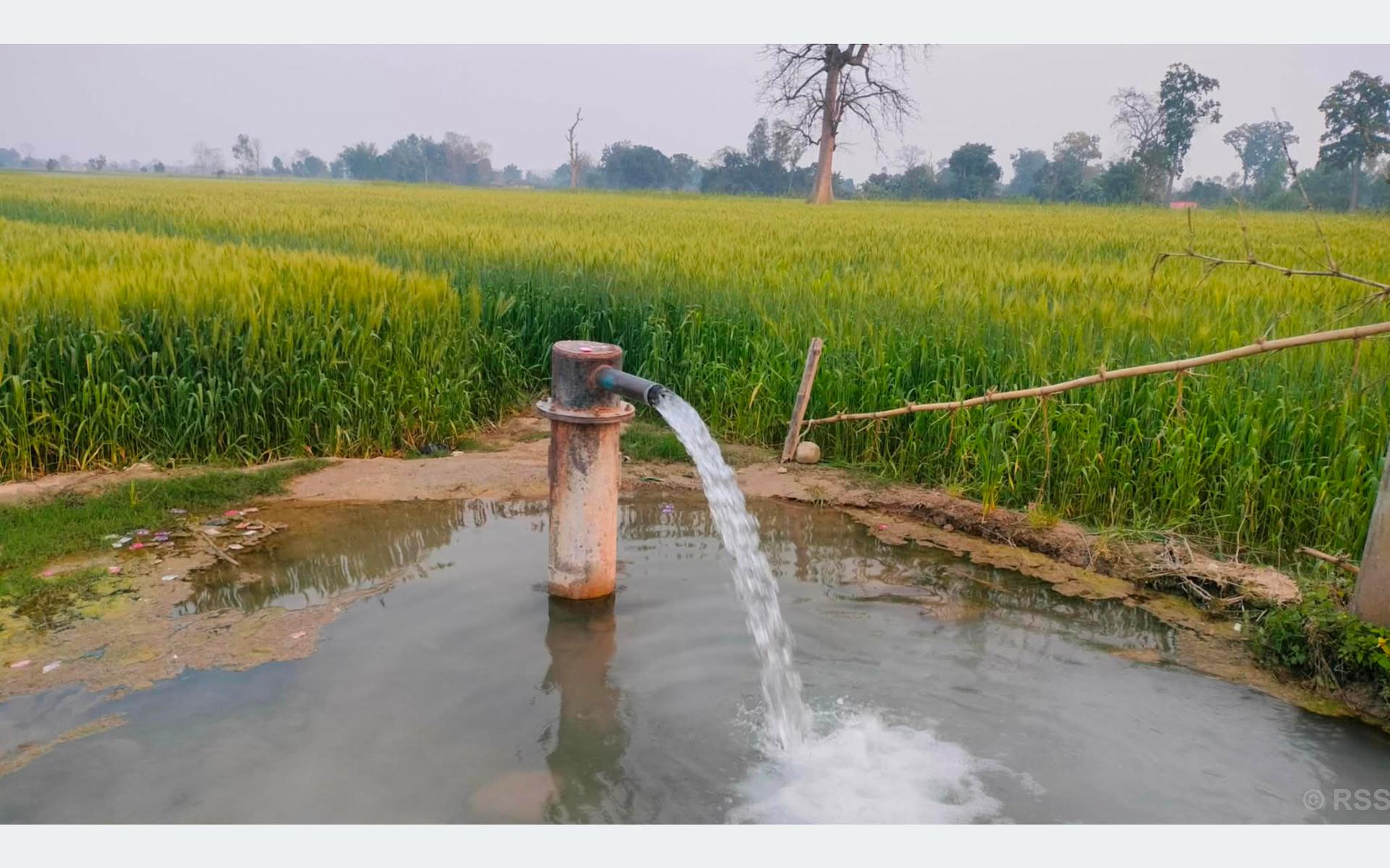 सिँचाइ समस्या समाधान गर्न बोरिङ जडान