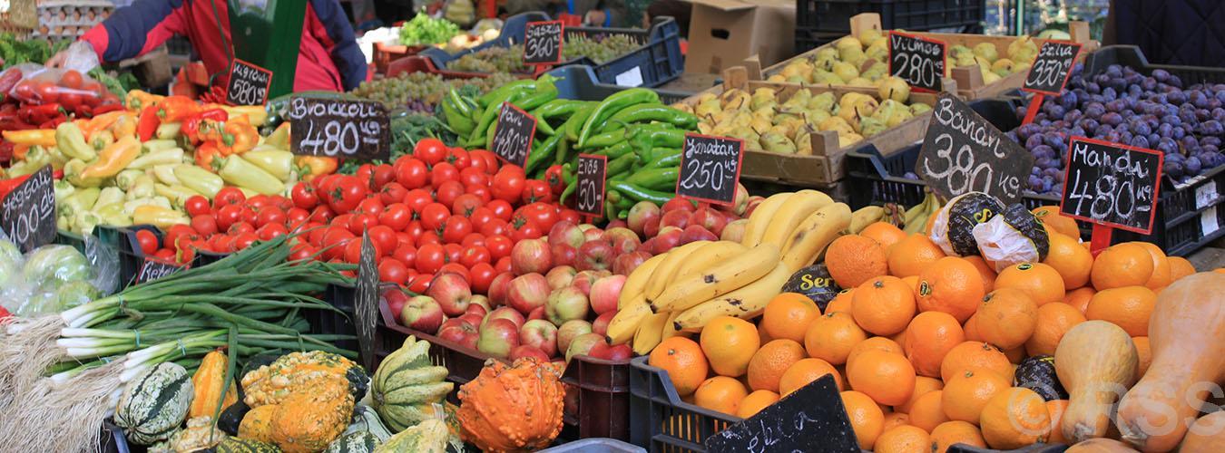 World Food Safety Day Highlights Global Illness and Death Statistics