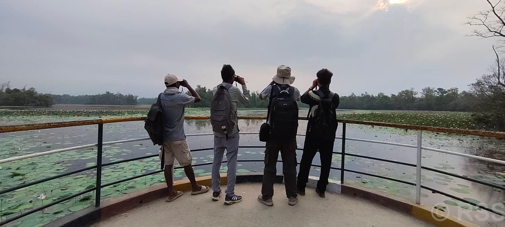 Ghoda Ghodi Ramsar Area Begins Gadwall Count