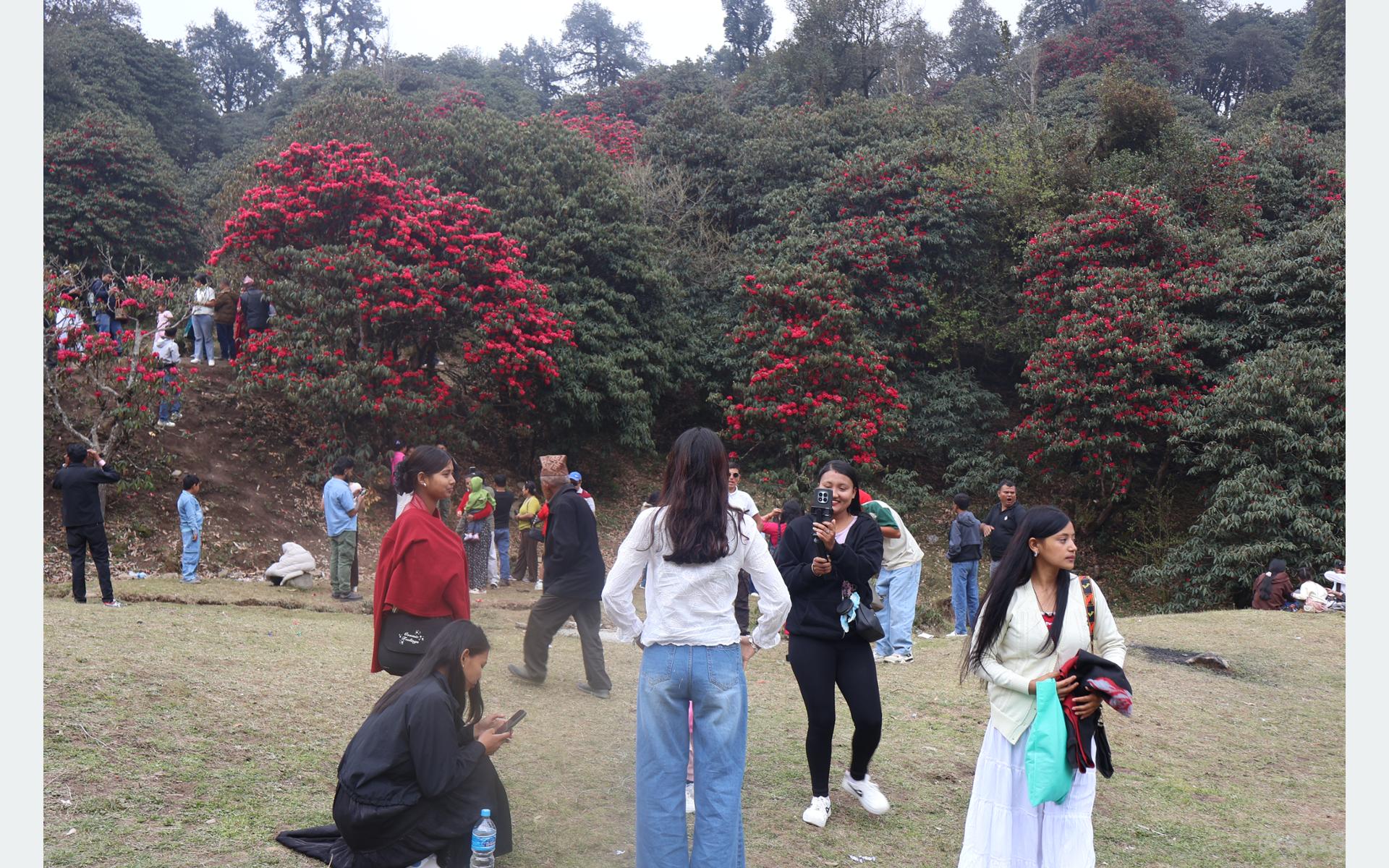 टिएमजे क्षेत्रमा पर्यटकको भिड