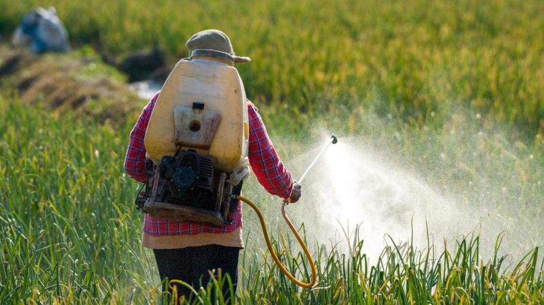 a-man-spraying-pesticides-into-a-field-of-crops-that-will-be-used-for-food