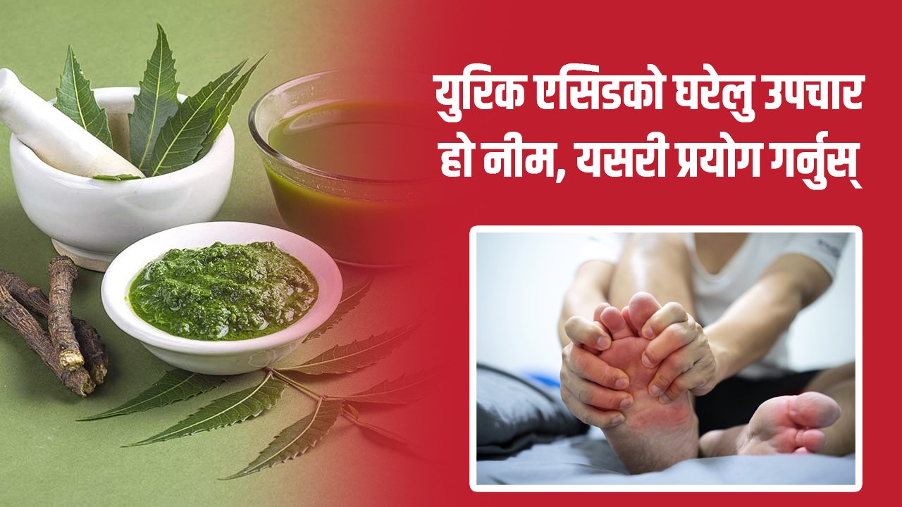   नीमको पातको फाइदै–फाइदा, यसरी प्रयोग गर्नुस्