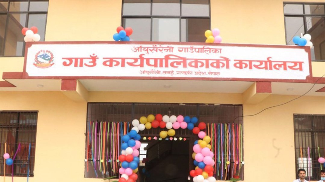 किसानले उत्पादन गरेको फापर गाउँपालिकाले किन्यो