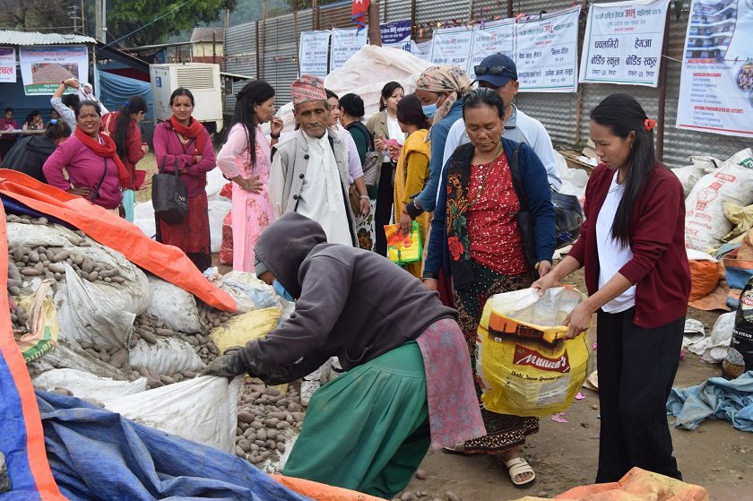   महोत्सव लगाएर हेमजाले बेच्यो ४१ लाखको आलु