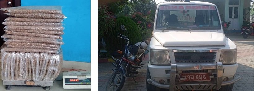   एम्बुलेन्समा भेटियो ३३ किलो गाँजा