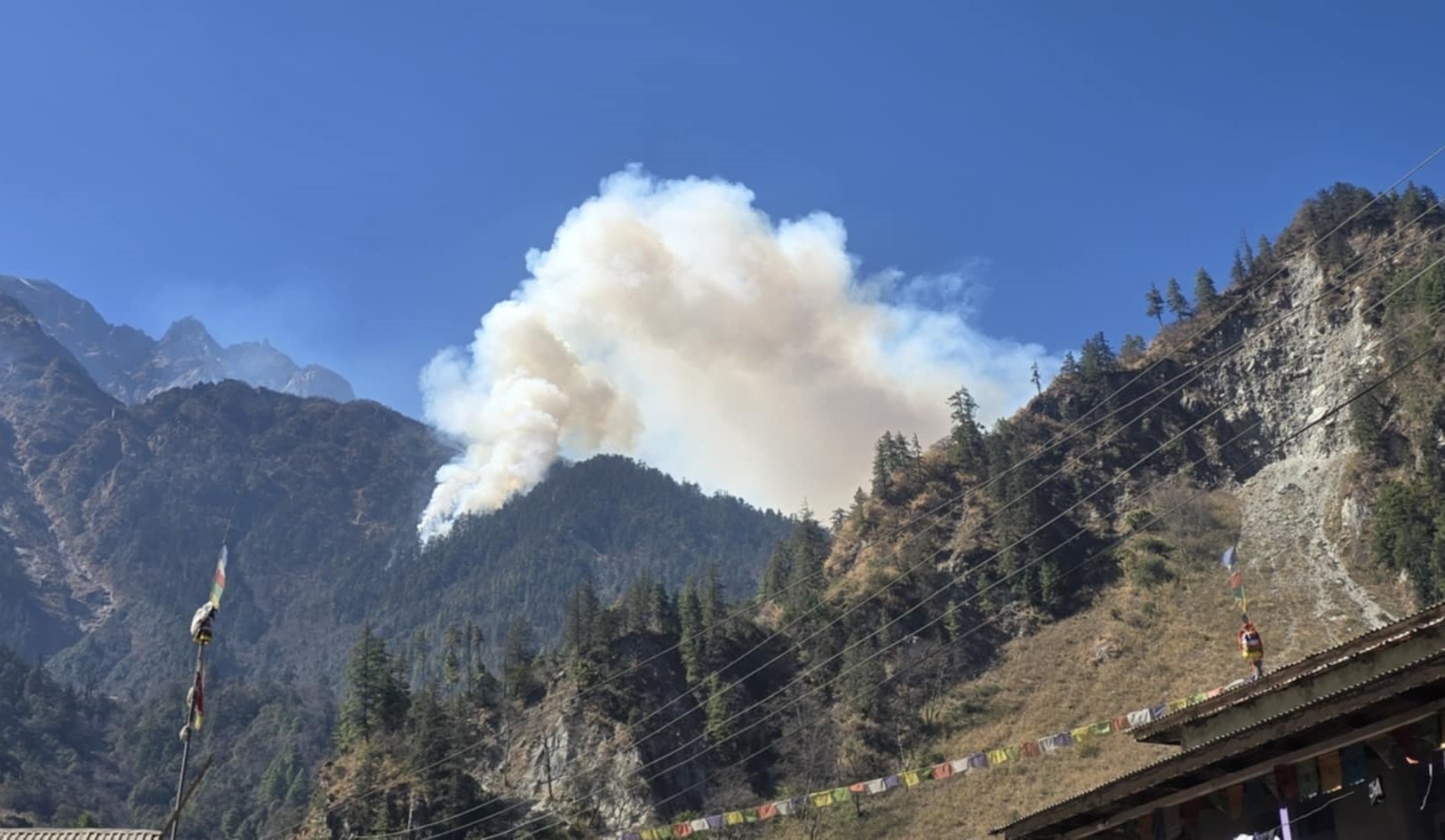 तिमाङको जङ्गलमा लागेको आगो अझै सकिएन निभाउन