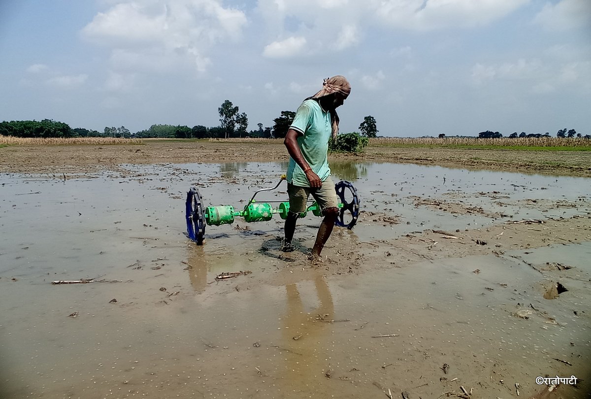   आकाशको पानीको भरपर्दा सर्लाहीमा भएन रोपाइँ