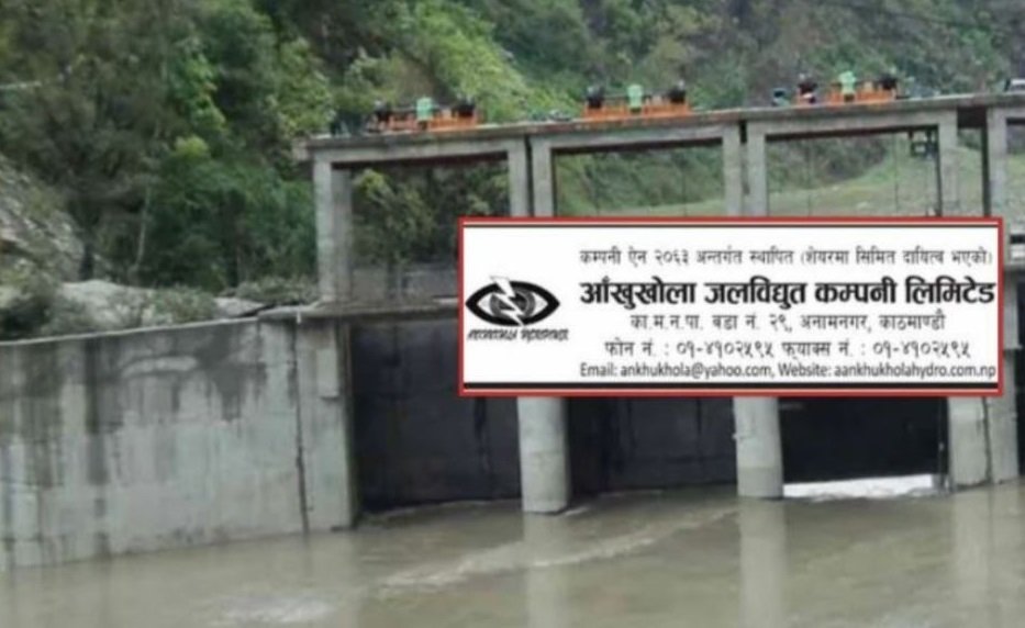 हकप्रदमा नबिकेको साढे १७ लाख कित्ता साधारण शेयर लिलामीमा