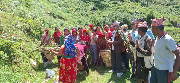 झाडी फाँडेर घाँस खेती, घरघरमा बाख्रापालन