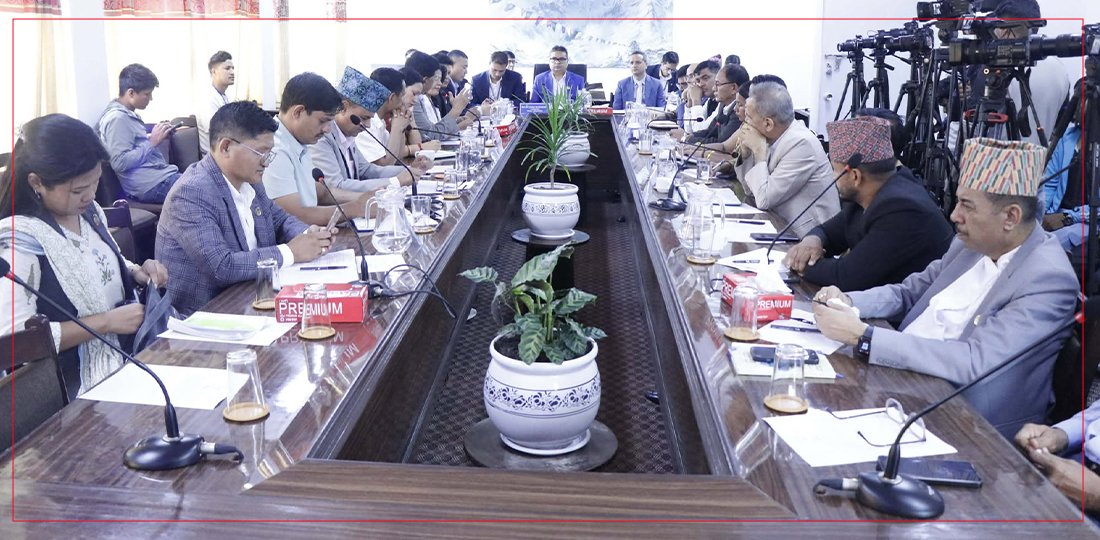 Parliamentary Committee Questions National Planning Commission's Authority and Effectiveness