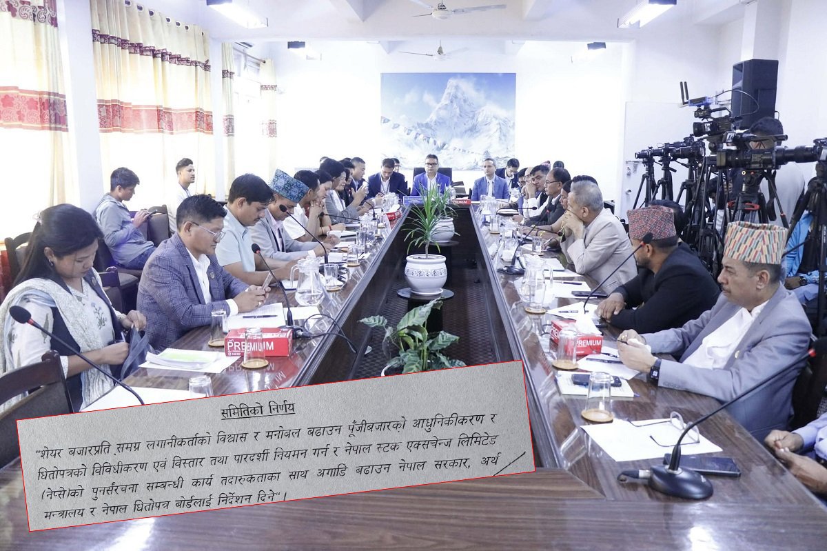 नेप्सेको पुनर्संरचना र आधुनिकीकरण तत्काल अघि बढाउन सरकारलाई अर्थ समितिको  निर्देशन