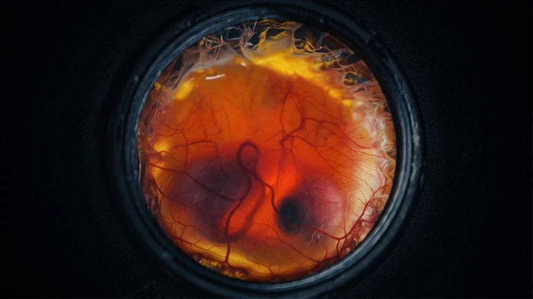 artificial-egg2 (1)