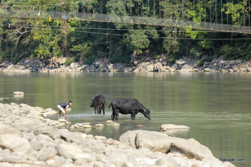 arun-river-satighat (2)