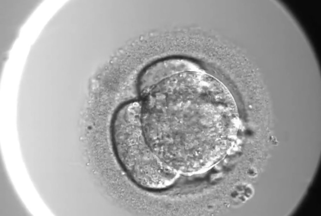 Human Embryo Gene Editing Shows Promise, Faces Ethical Hurdles