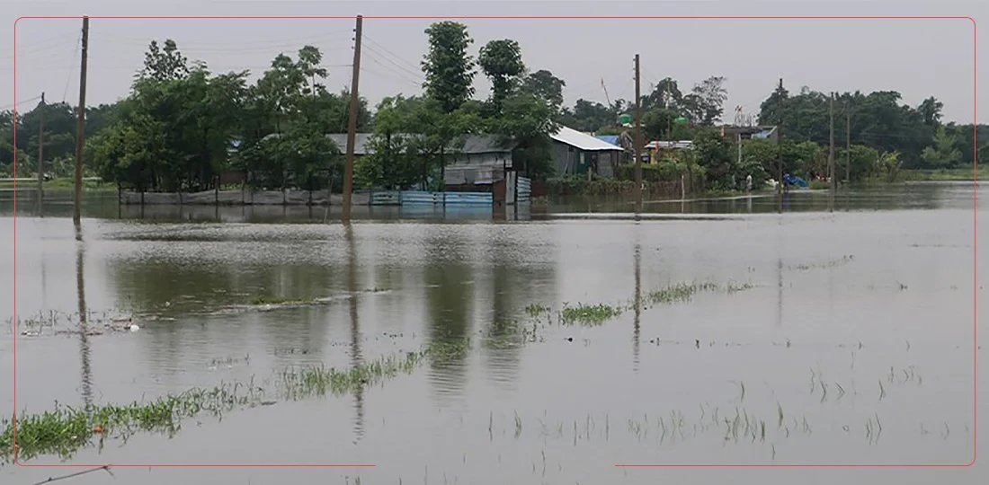 कोशीमा पूर्वाधार क्षेत्रमा मात्रै चार अर्ब ६३ करोड रुपैयाँ बराबरको क्षति !