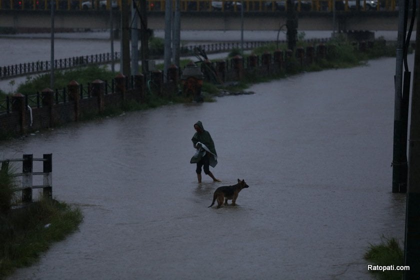 bagmati-bisnumati-dobhan-badhi (13)