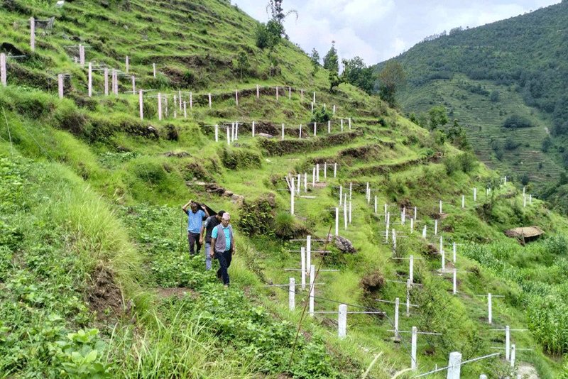 Tanahun's Byas Municipality Achieves 80% Progress in Baireni Land Development Project