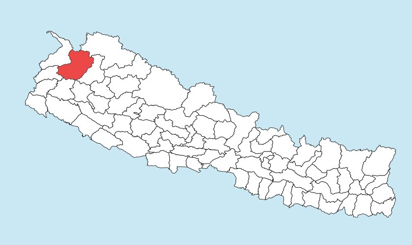 खेत जोत्दै गरेका एक हल गोरूसहित हलीको मृत्यु