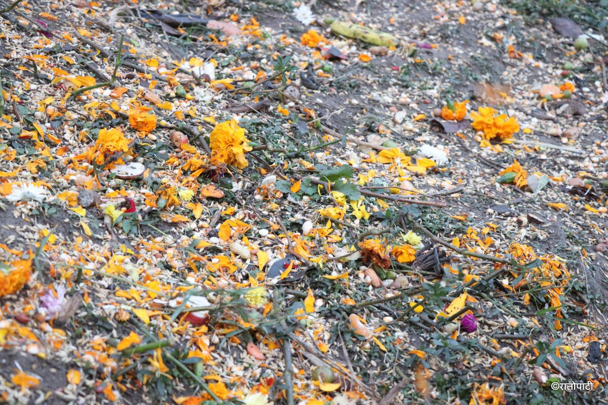 bala chautardashi (6)