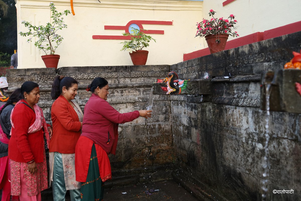balaju meela (11)