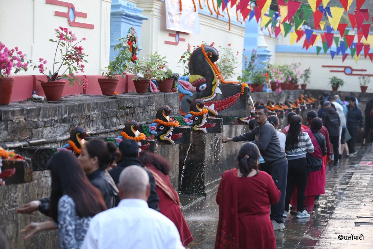 balaju meela (14)