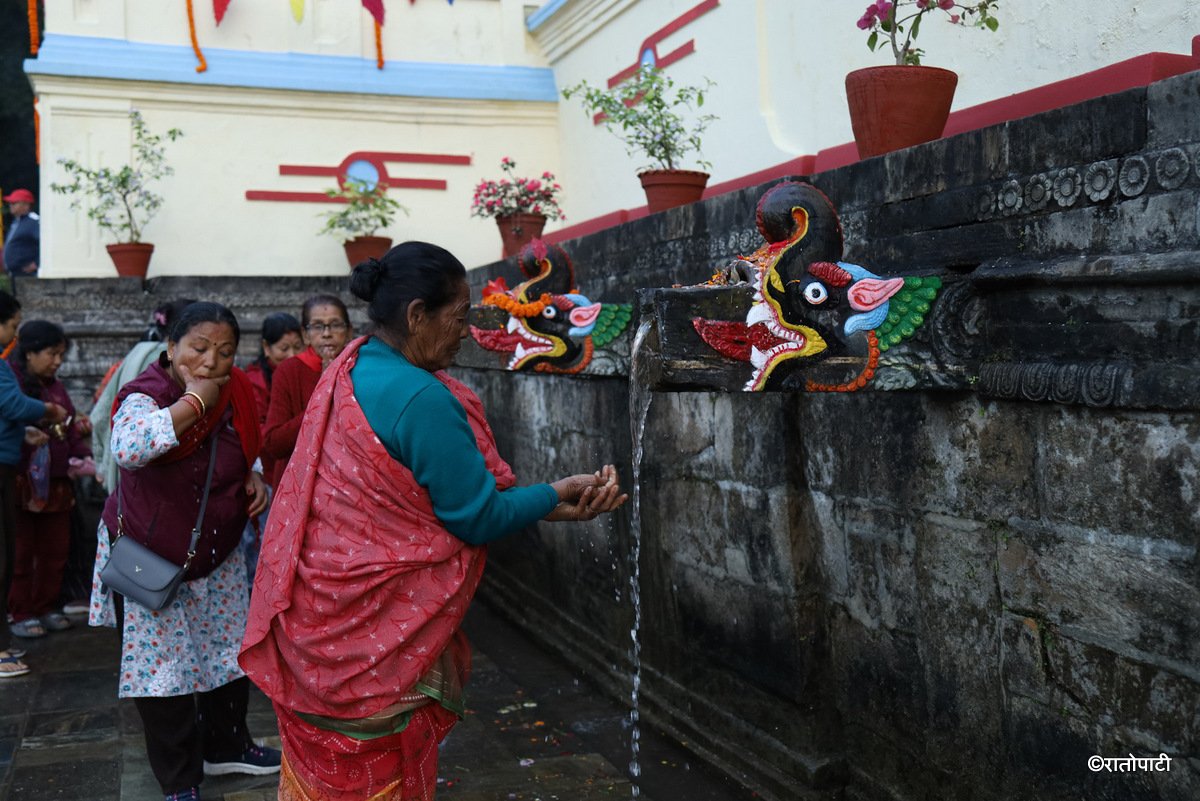 balaju meela (9)