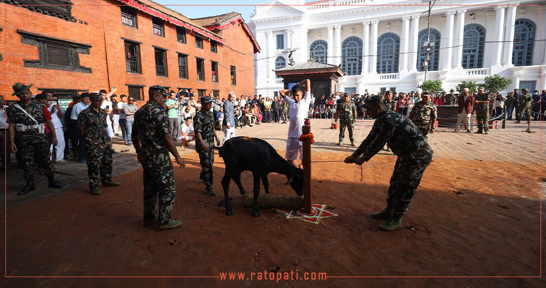 हनुमानढोकामा दिइयो पञ्चबलि, तस्बिरमा हेर्नुहोस्