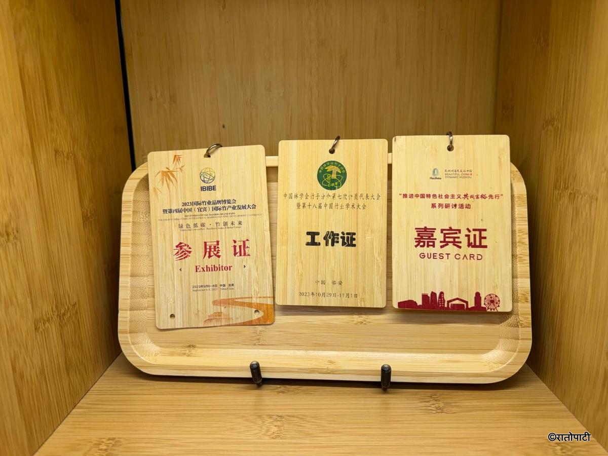 bamboo (15)