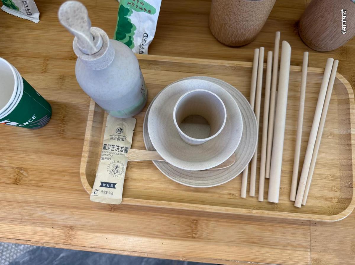 bamboo (18)