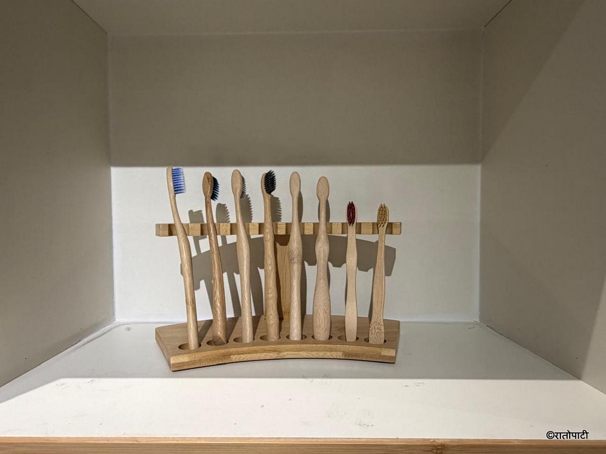 bamboo (27)