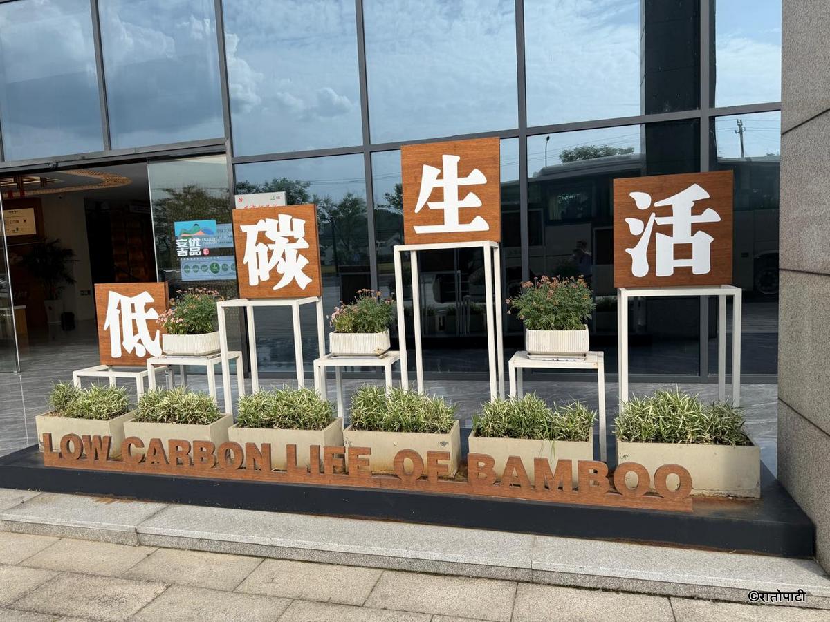 bamboo (37)