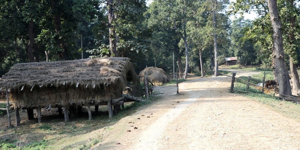 बाली जोगाउन जहाँ रातभरि जाग्राम बसिन्छ