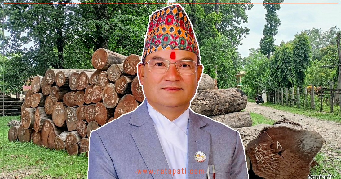  मन्त्रीको एक वर्षको सबैभन्दा ठुलो उपलब्धि : रूख कटान