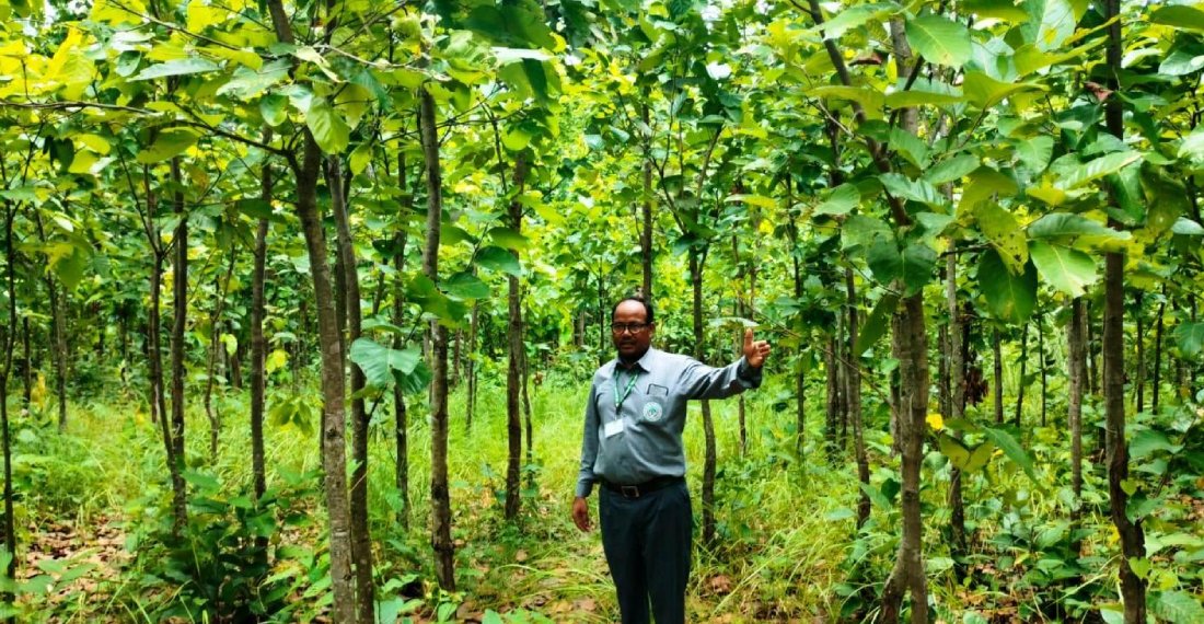   वन संरक्षणसँगै हराएका वन्यजन्तु फिर्ता आउन थाले