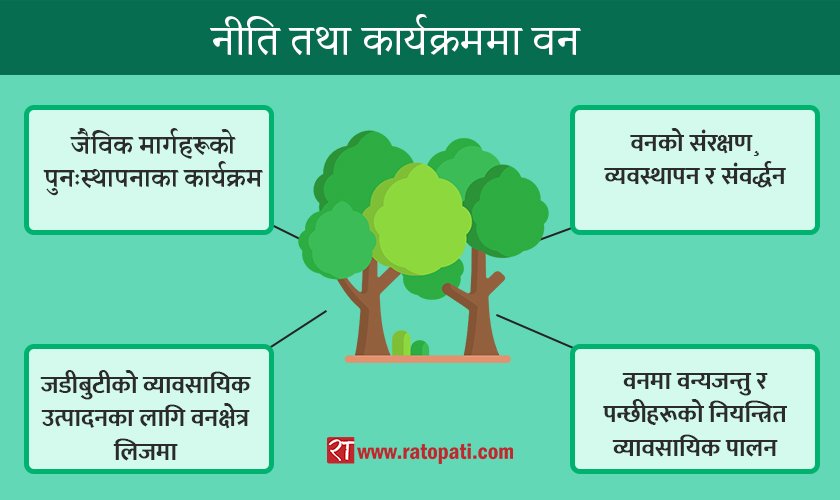 नीति तथा कार्यक्रममा वन : काठ आयात रोक्नेदेखि जंगलमा पशुपक्षी पाल्नेसम्म