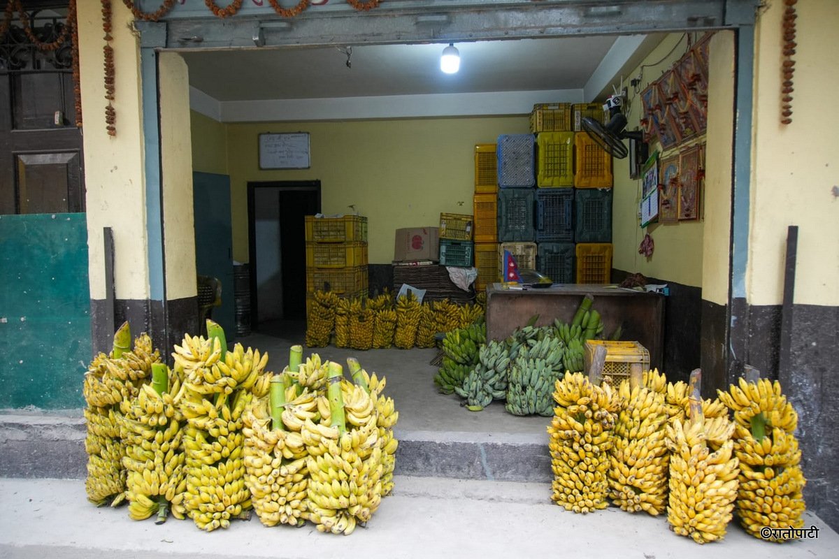 banana (1)