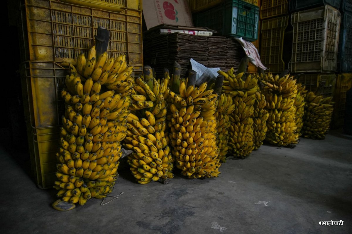 banana (4)