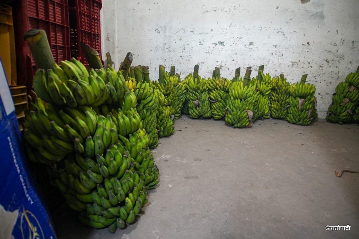 banana (7)