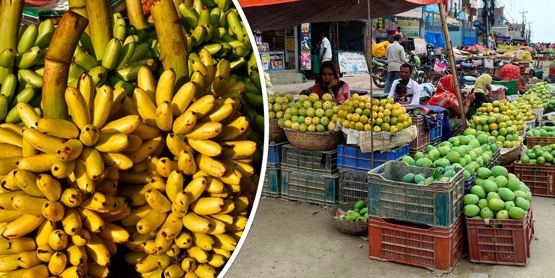Nepal Tightens Quarantine Checks on Agricultural Imports Amid Disease Risks