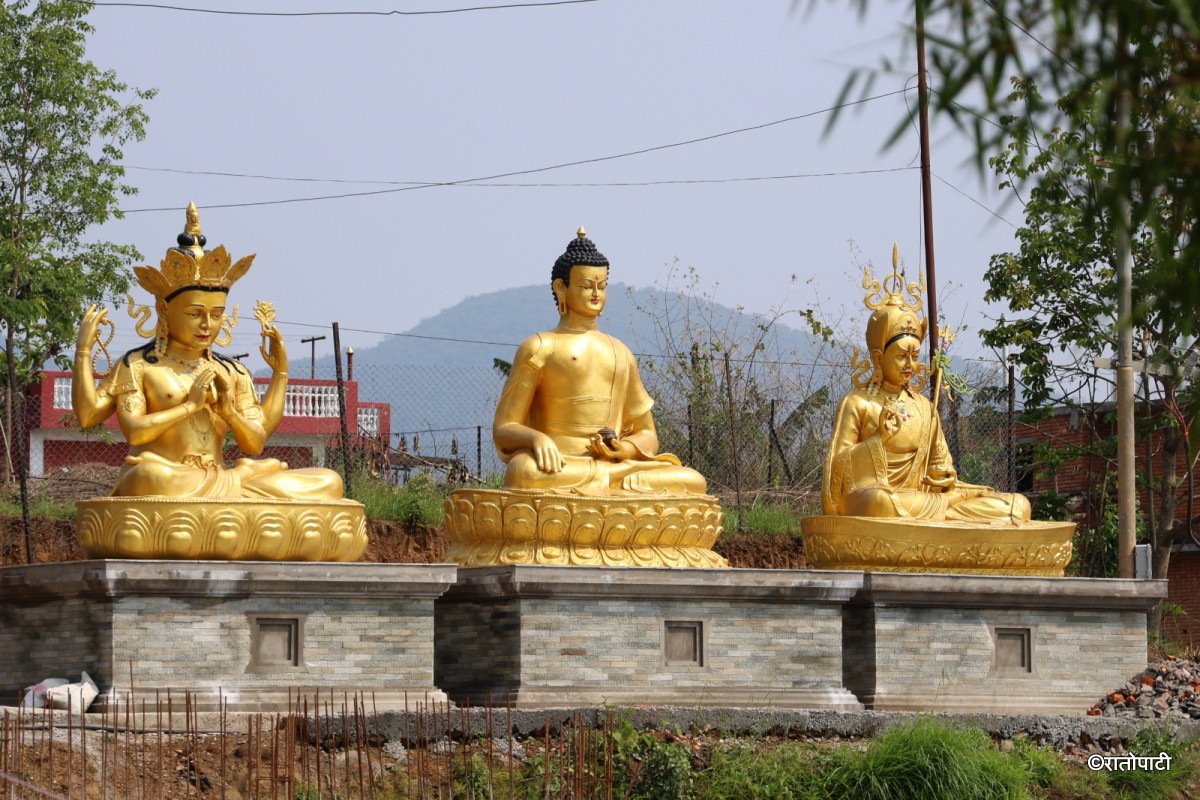 bandipur (15)