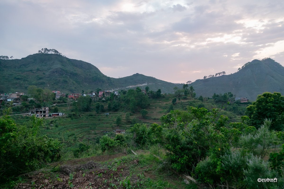 bandipur (18)