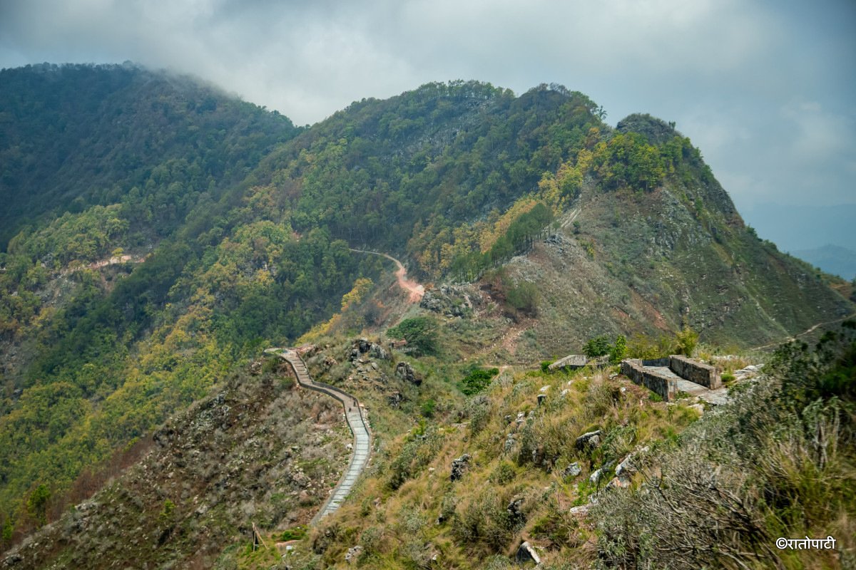 bandipur (5)