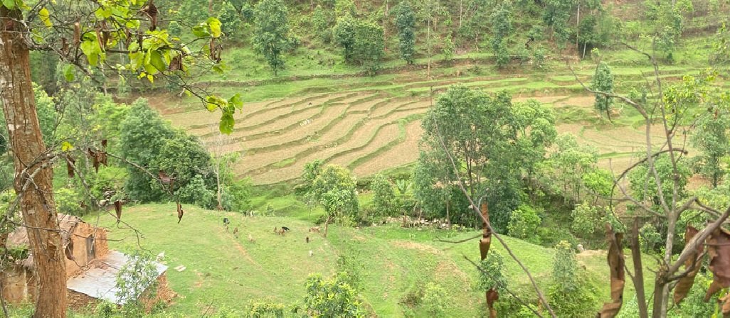 दश लाख हेक्टरभन्दा बढी खेतीयोग्य जमिन बाँझै