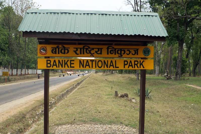   जङ्गली जनावरको आक्रमण बढेपछि स्थानीय आतङ्कित